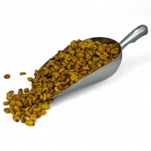 תירס קלוי 1 ק"ג